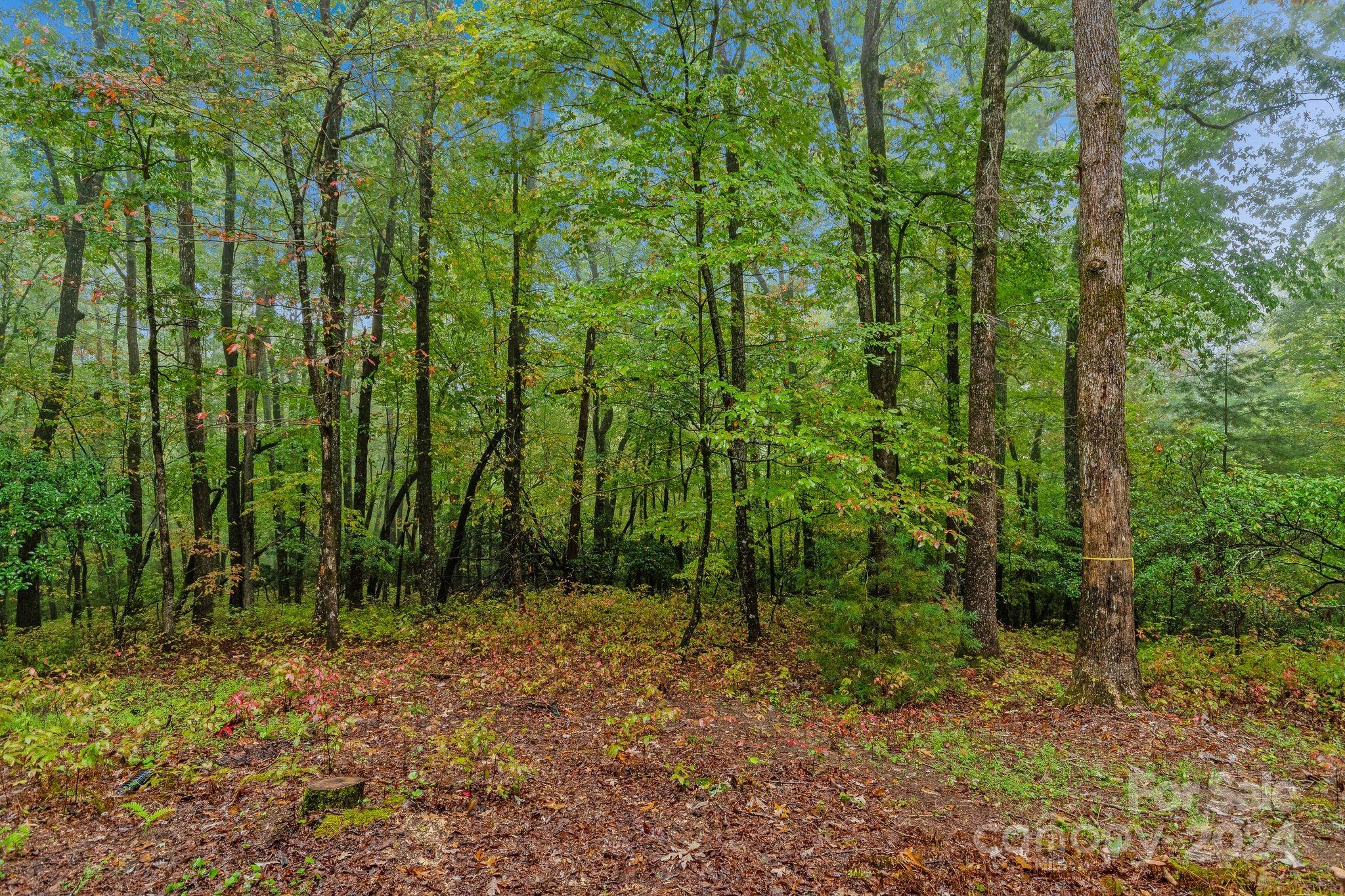 Connestee Falls - Residential