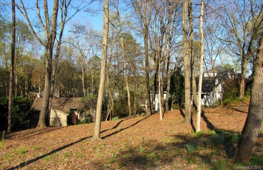 Waterview Lot IN Tega Cay - fairly flat - one of few remaining buildable lots in Tega Cay.