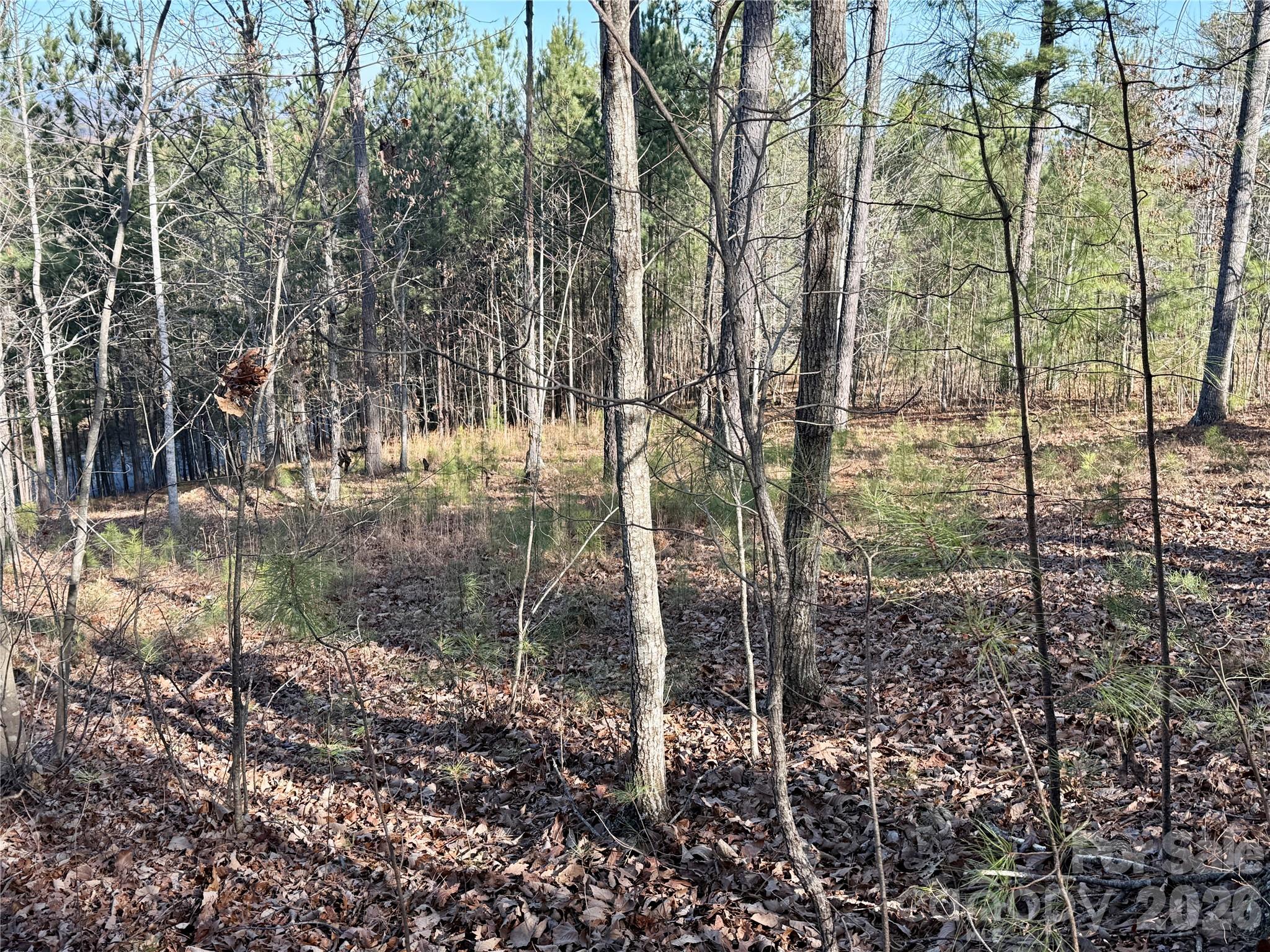 Grandview Peaks - Land