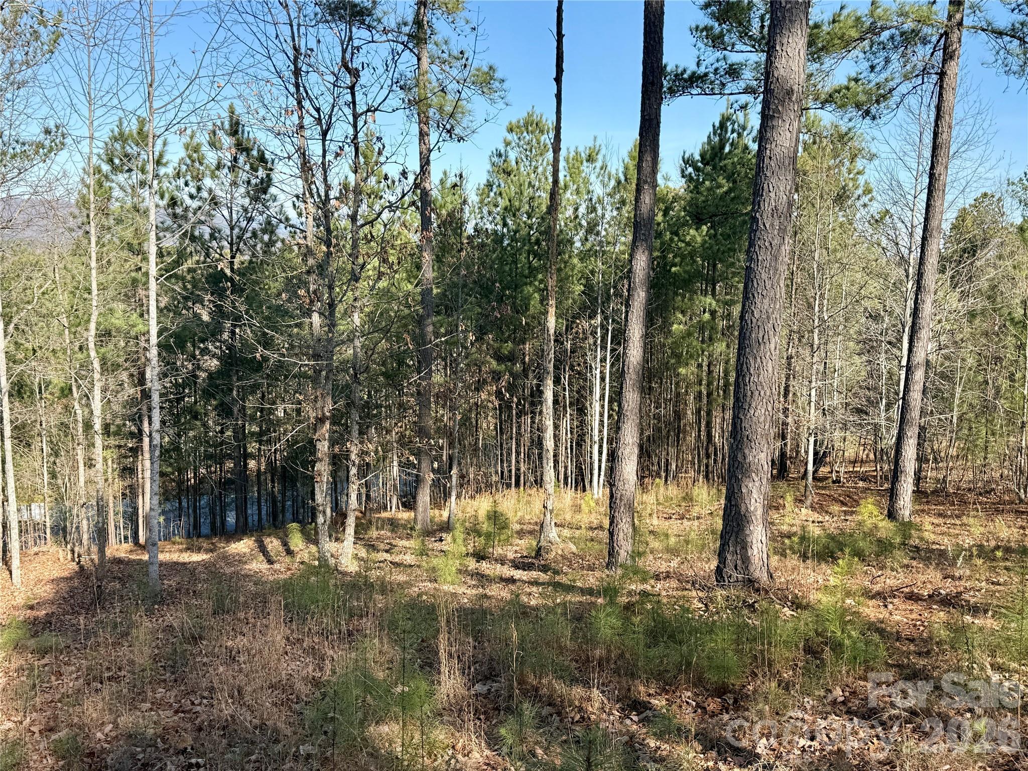 Grandview Peaks - Land