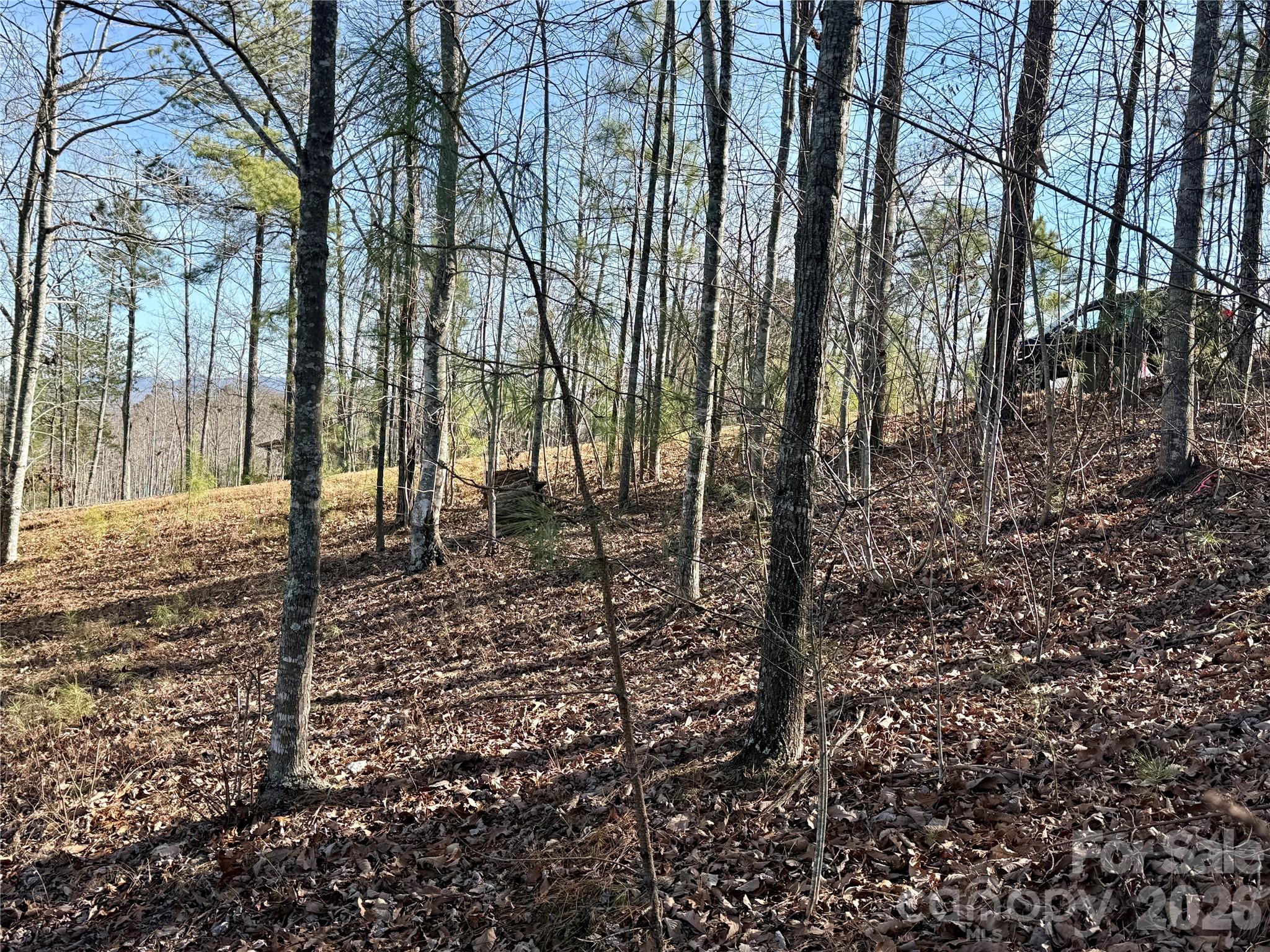 Grandview Peaks - Land