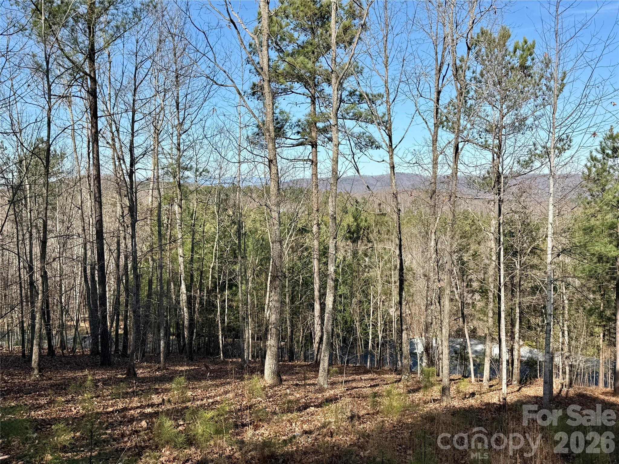 Grandview Peaks - Land