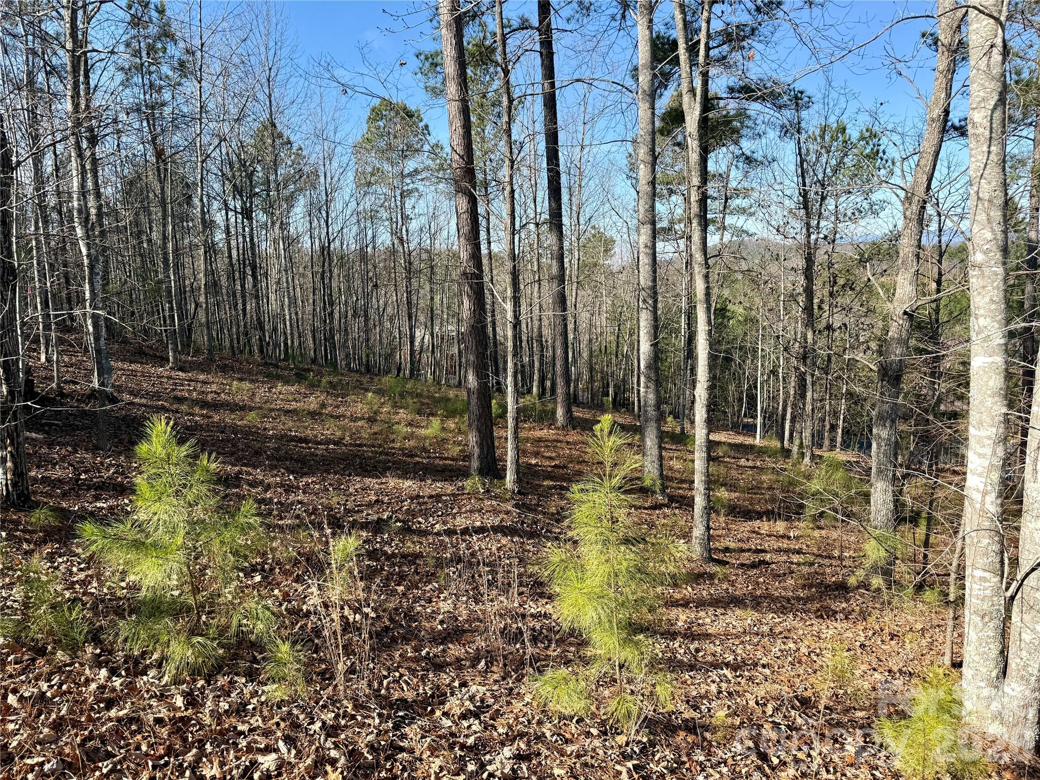 Grandview Peaks - Land