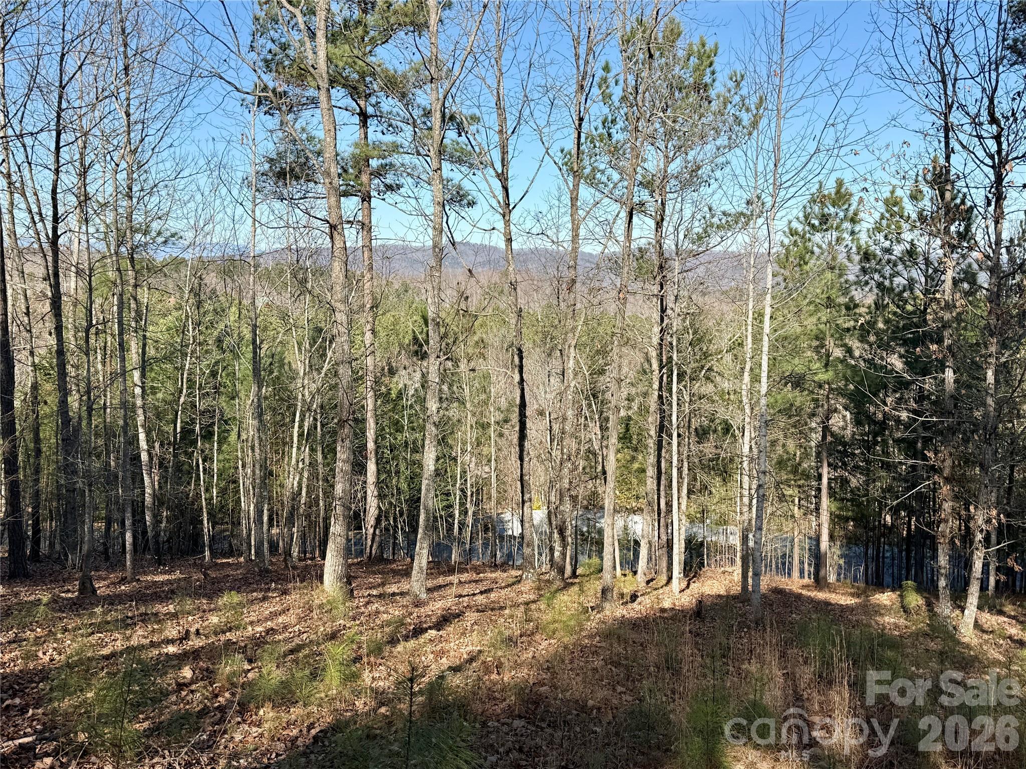 Grandview Peaks - Land