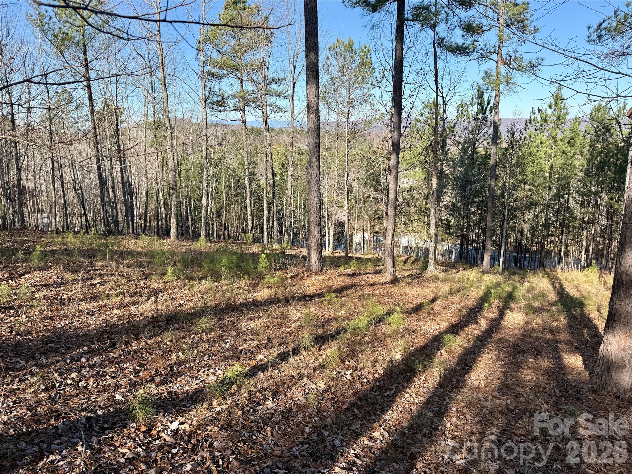 Grandview Peaks - Land