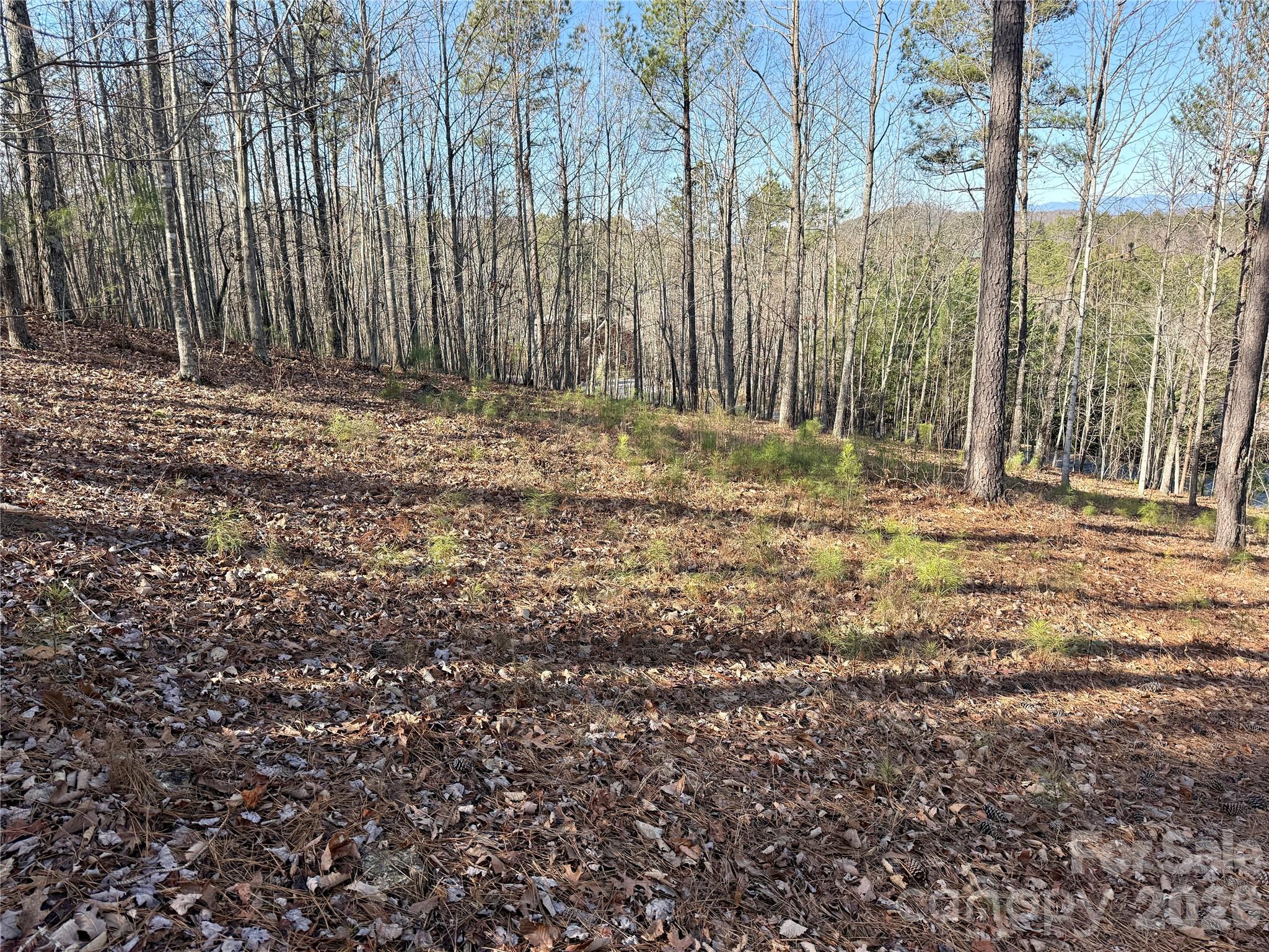 Grandview Peaks - Land