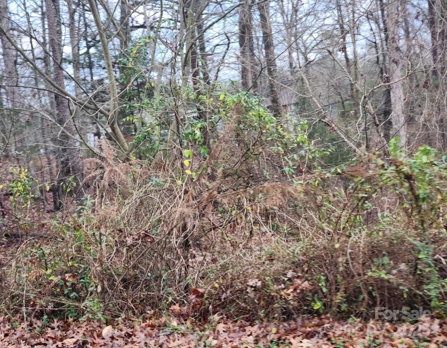 453 Lancaster Estates Road