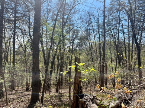 Photo of 0 Pilgrim Church Road, Hiddenite, NC 28636 (MLS # 4353350)
