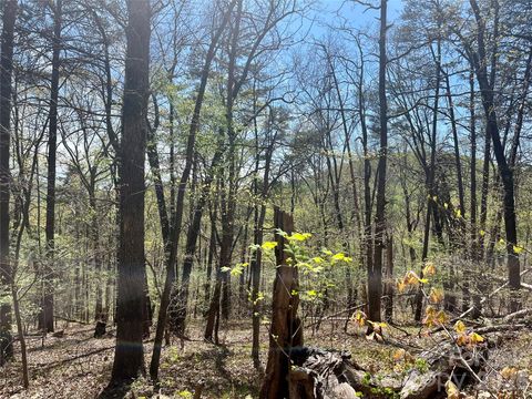 0 Pilgrim Church Road Hiddenite NC 28636