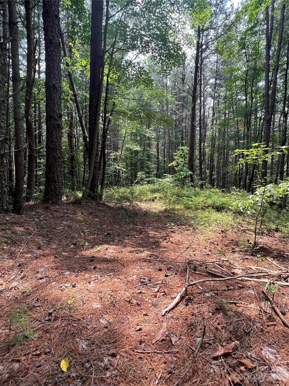 Pisgah Preserve - Land