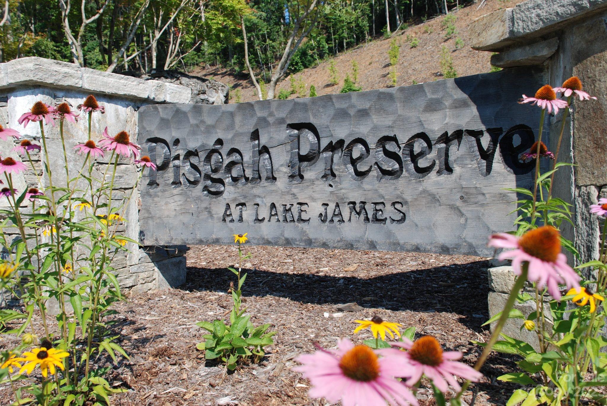 Pisgah Preserve - Land