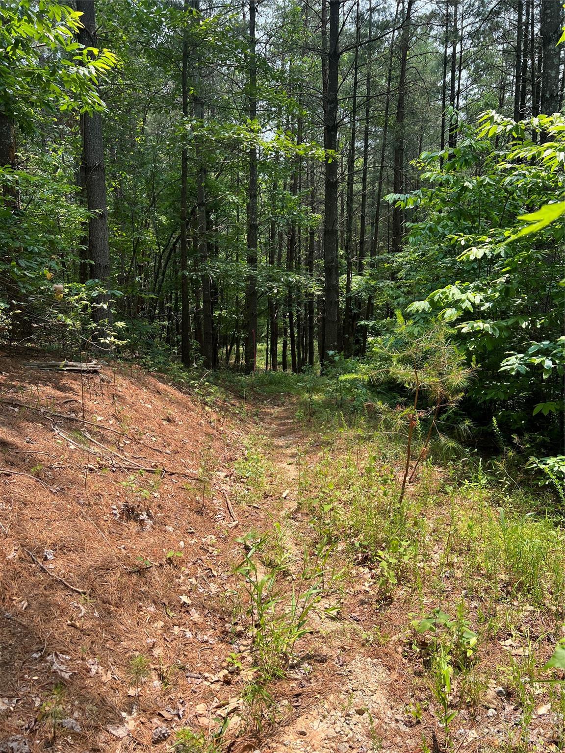 Pisgah Preserve - Land