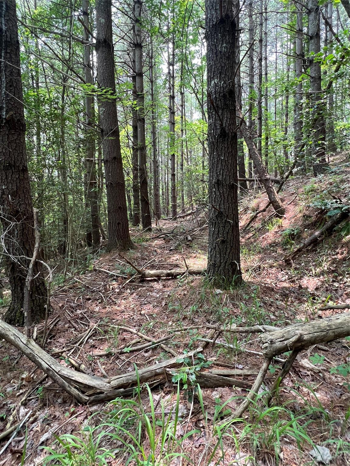 Pisgah Preserve - Land