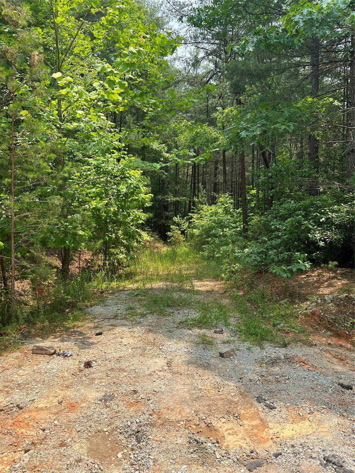 Pisgah Preserve - Land