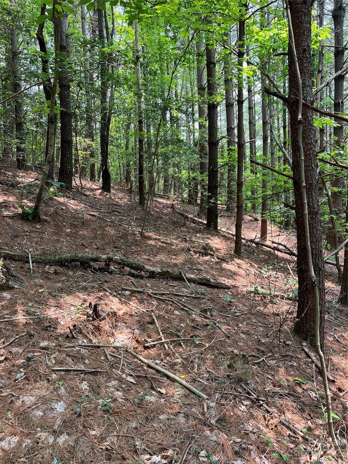 Pisgah Preserve - Land