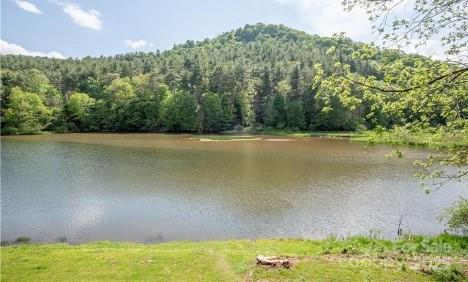 Blue Ridge Manor - Residential