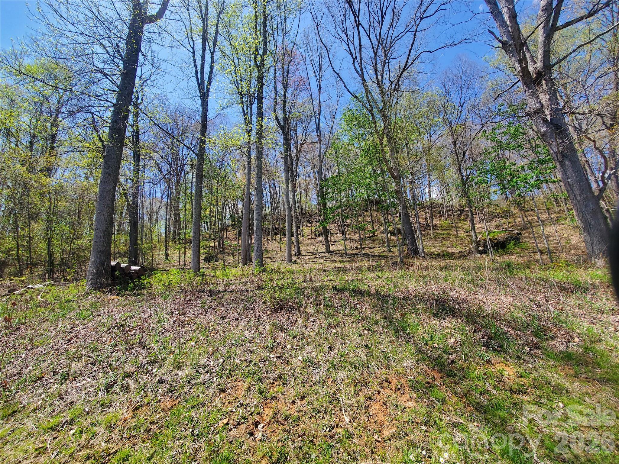 Elk Creek Mountain - Land