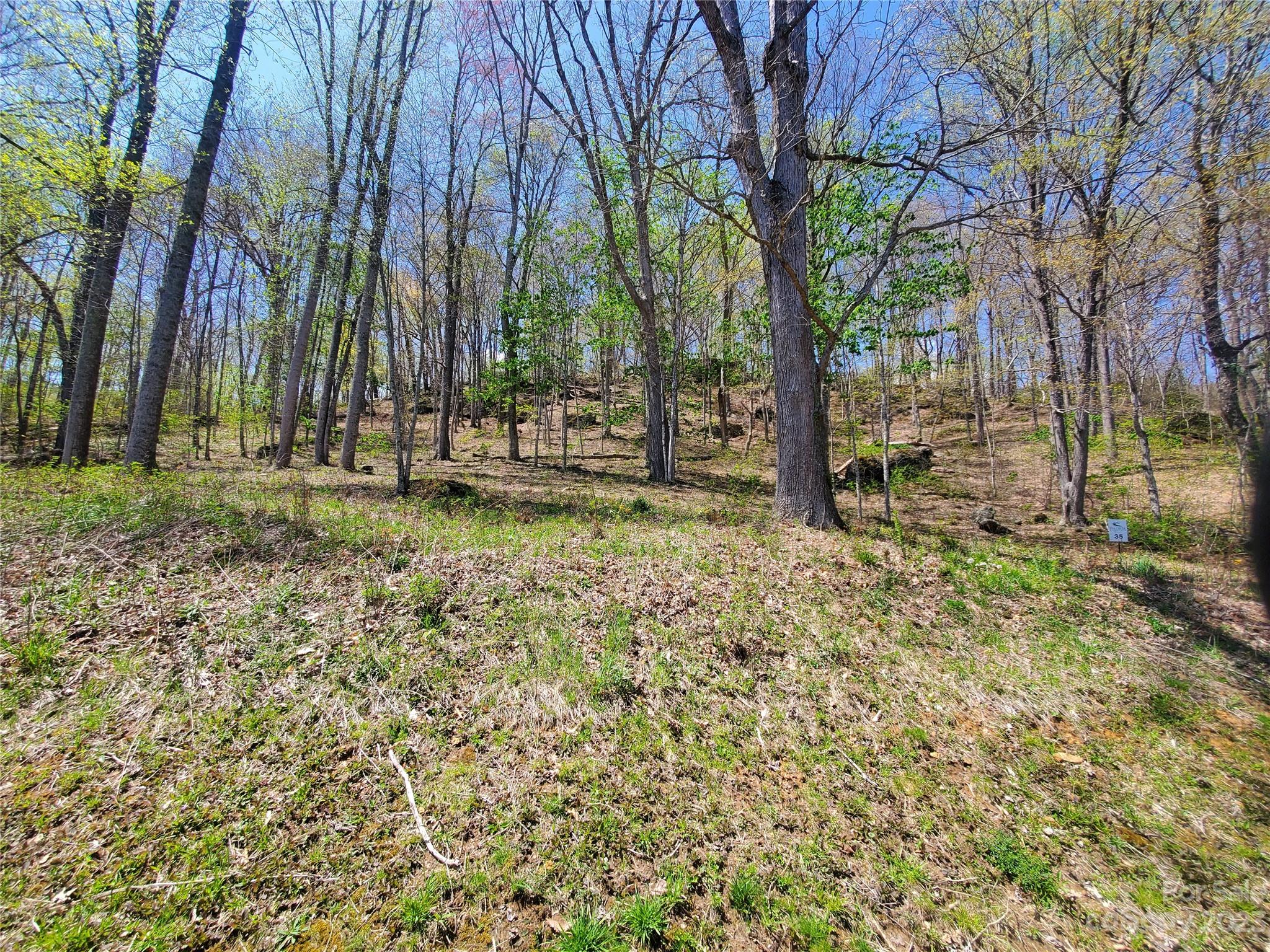 TBD Soothing Waters Drive 35