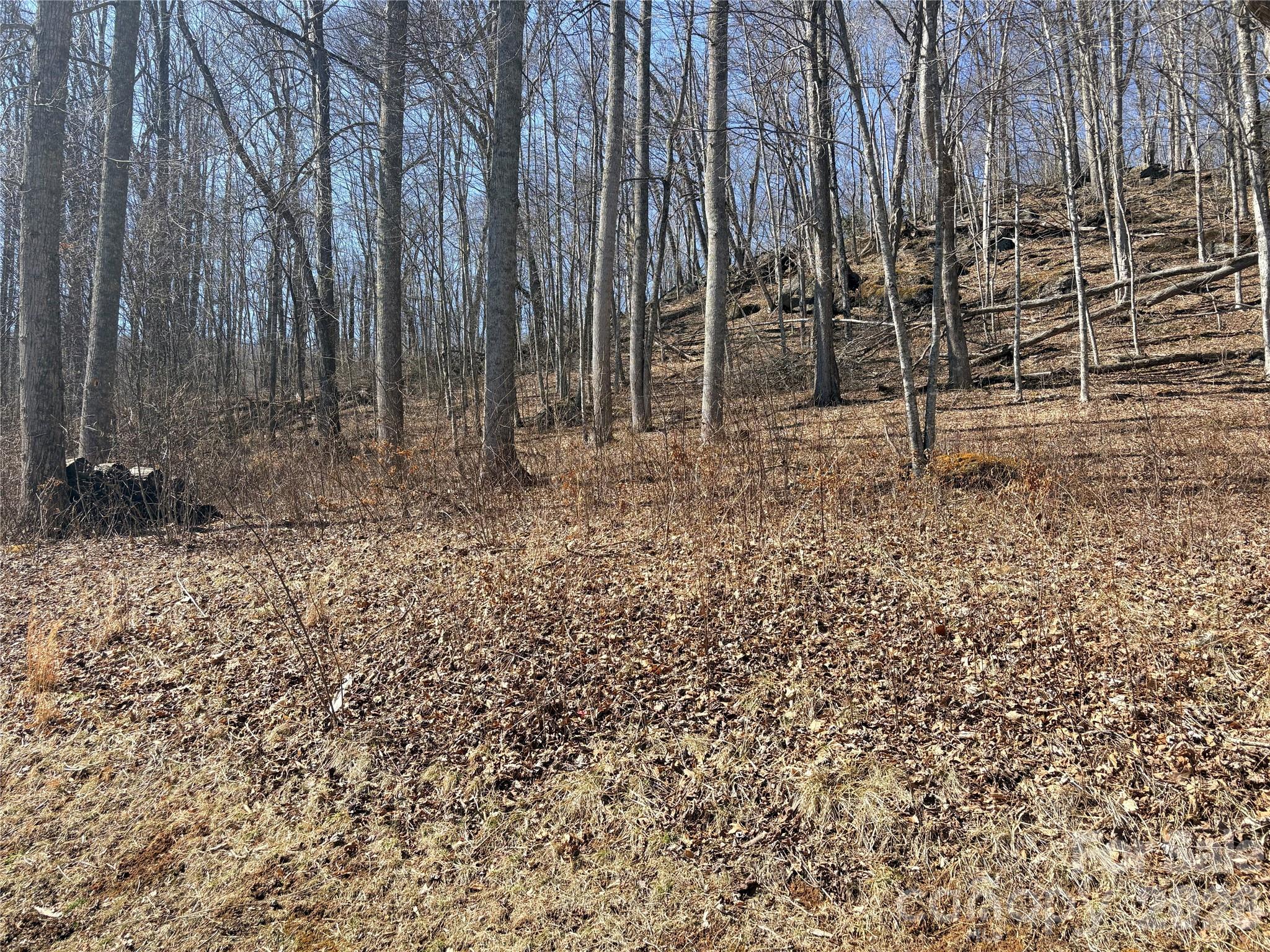 Elk Creek Mountain - Land