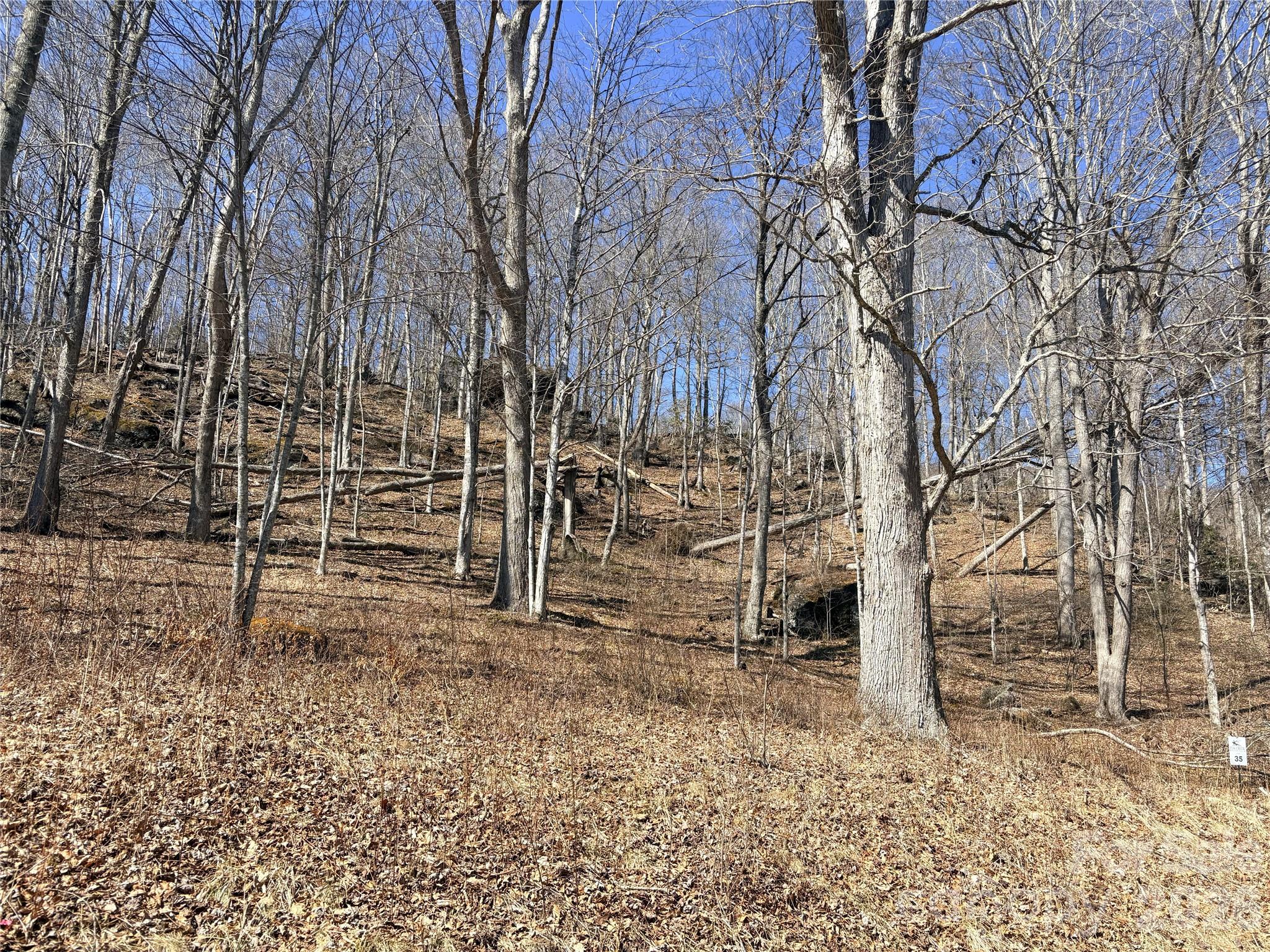 Elk Creek Mountain - Land