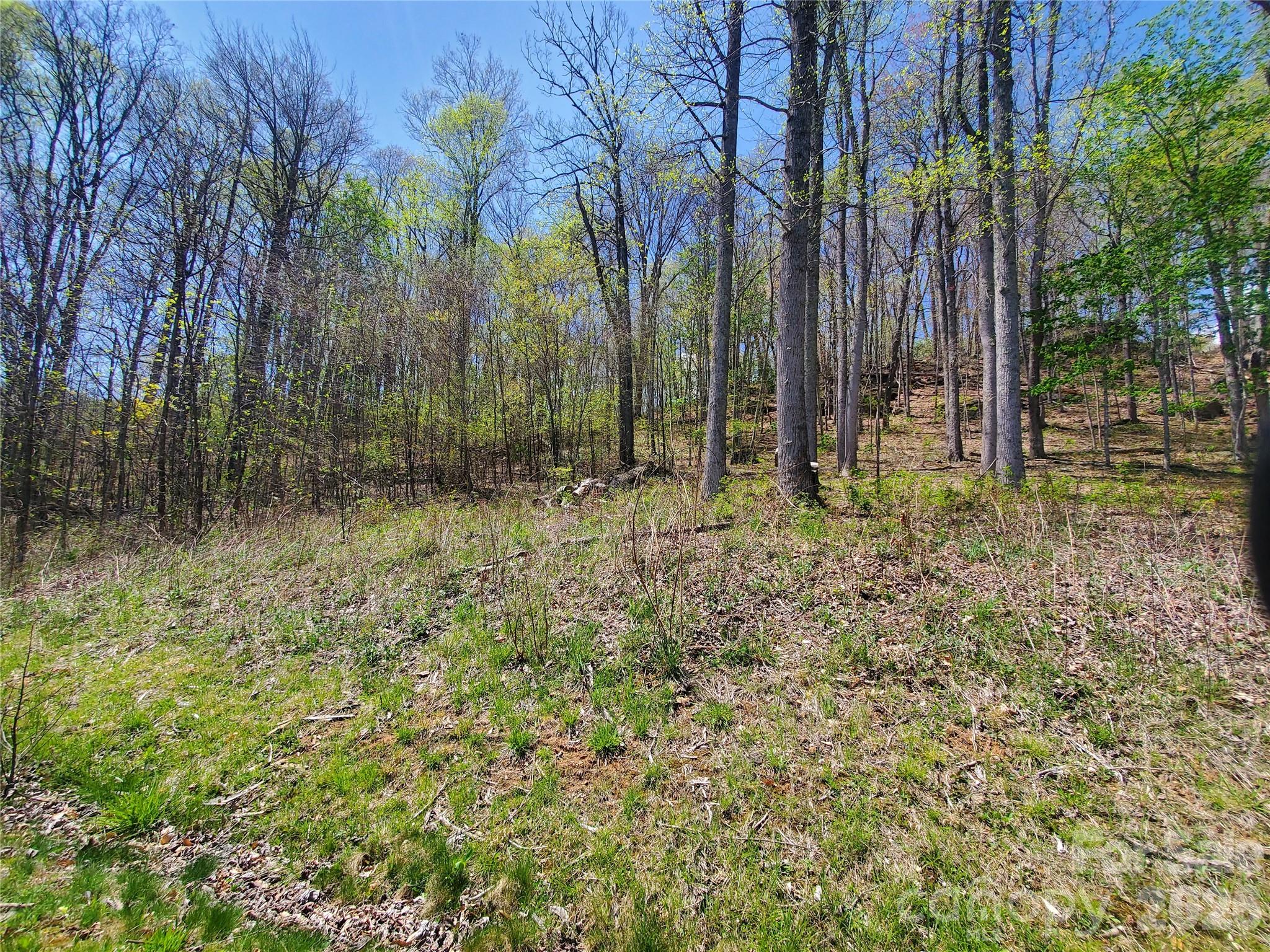 Elk Creek Mountain - Land