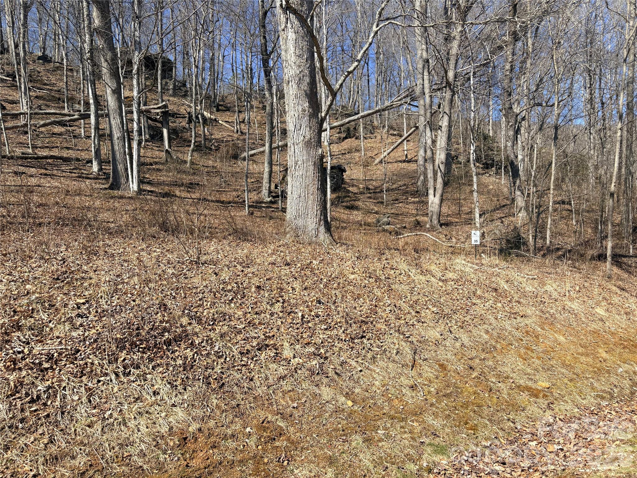 Elk Creek Mountain - Land