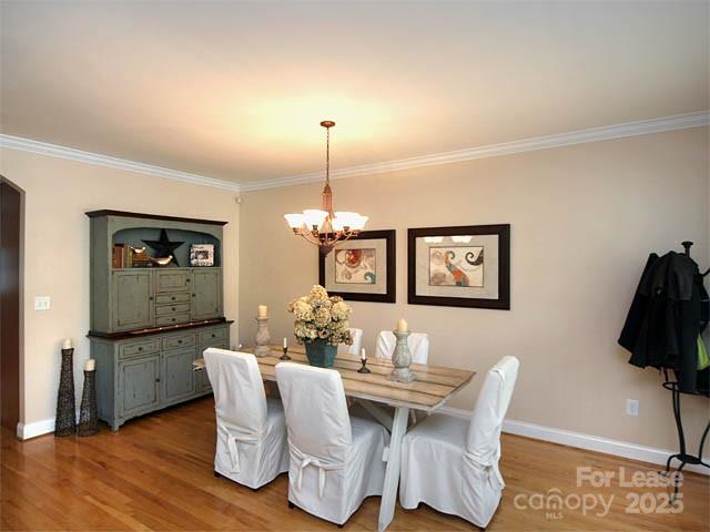 The Arts District - Residential Lease