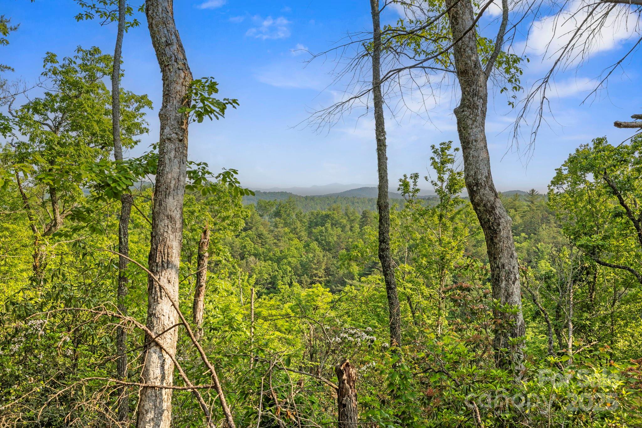 251 Paul McCoy Road