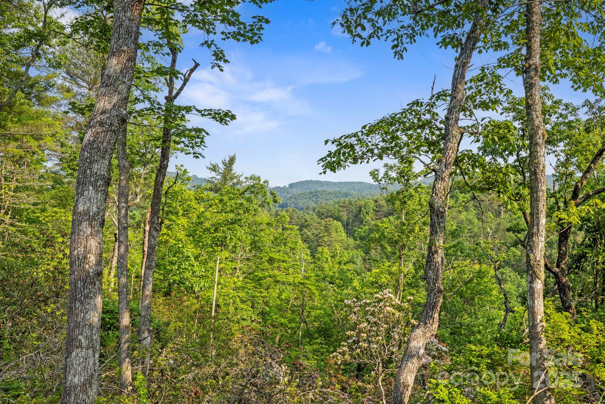 251 Paul McCoy Road