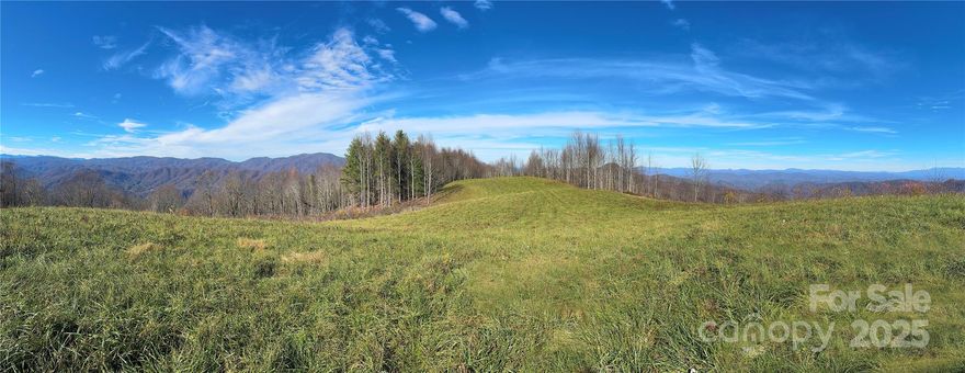 Private mountain paradise on 97+ acres with mesmerizing 80-mile-long mountain views! Rolling high pastures w/sunrise & sunset views! Heritage log cabin with artisan crafted details! Great room with hand hewn beamed  ceilings, kitchen, dining all looking out to the amazing views. Beautiful bath, laundry, spacious primary bedroom, guest bedroom/office. Covered mountain view front porch. Nestled next door is an adorable real-life playhouse for the kids! Continue up the drive and you will come to a magnificent recreated historic log barn with a loft apartment that with 1 bedroom, spacious great room, laundry, storage and another partially finished large space that could be a second loft apartment with a separate entrance. Trails throughout property. Small orchard. Additional home sites, plenty of space for gardens, horses etc. Equipped with underground power and high-speed fiber internet. Generator. Carport. A very unique and special property for your estate, retreat or family compound.