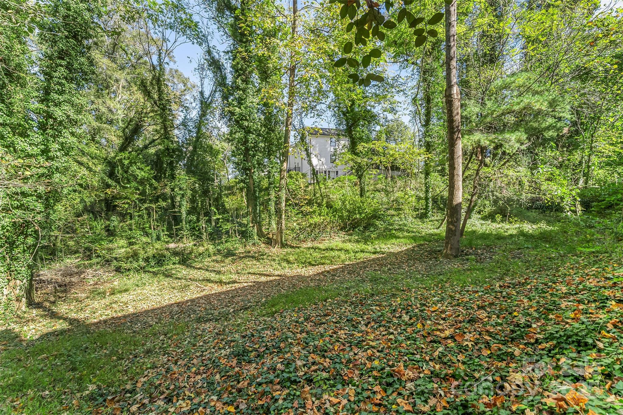 Riverside - Residential