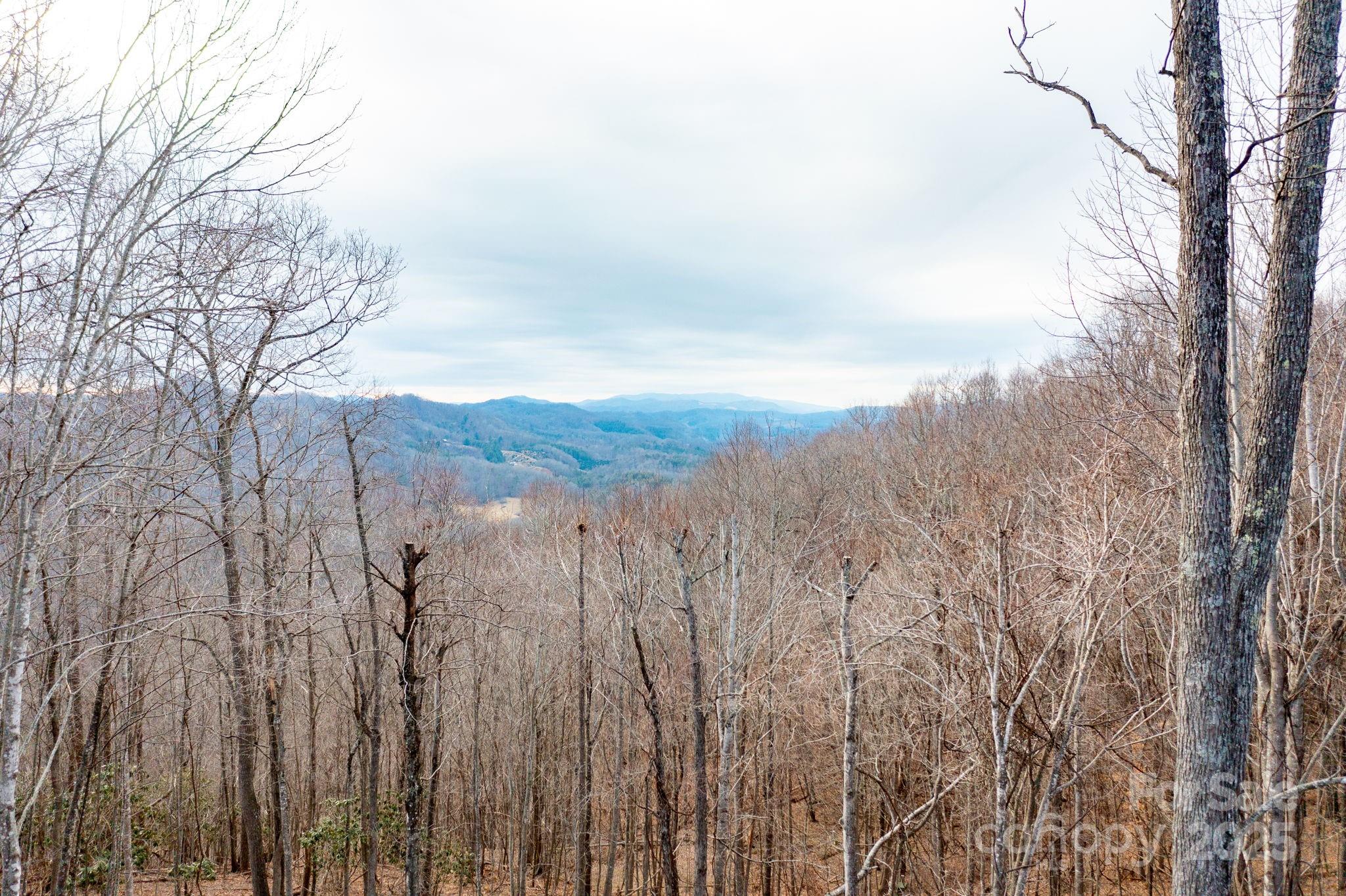 North Carolina Dreams - Residential