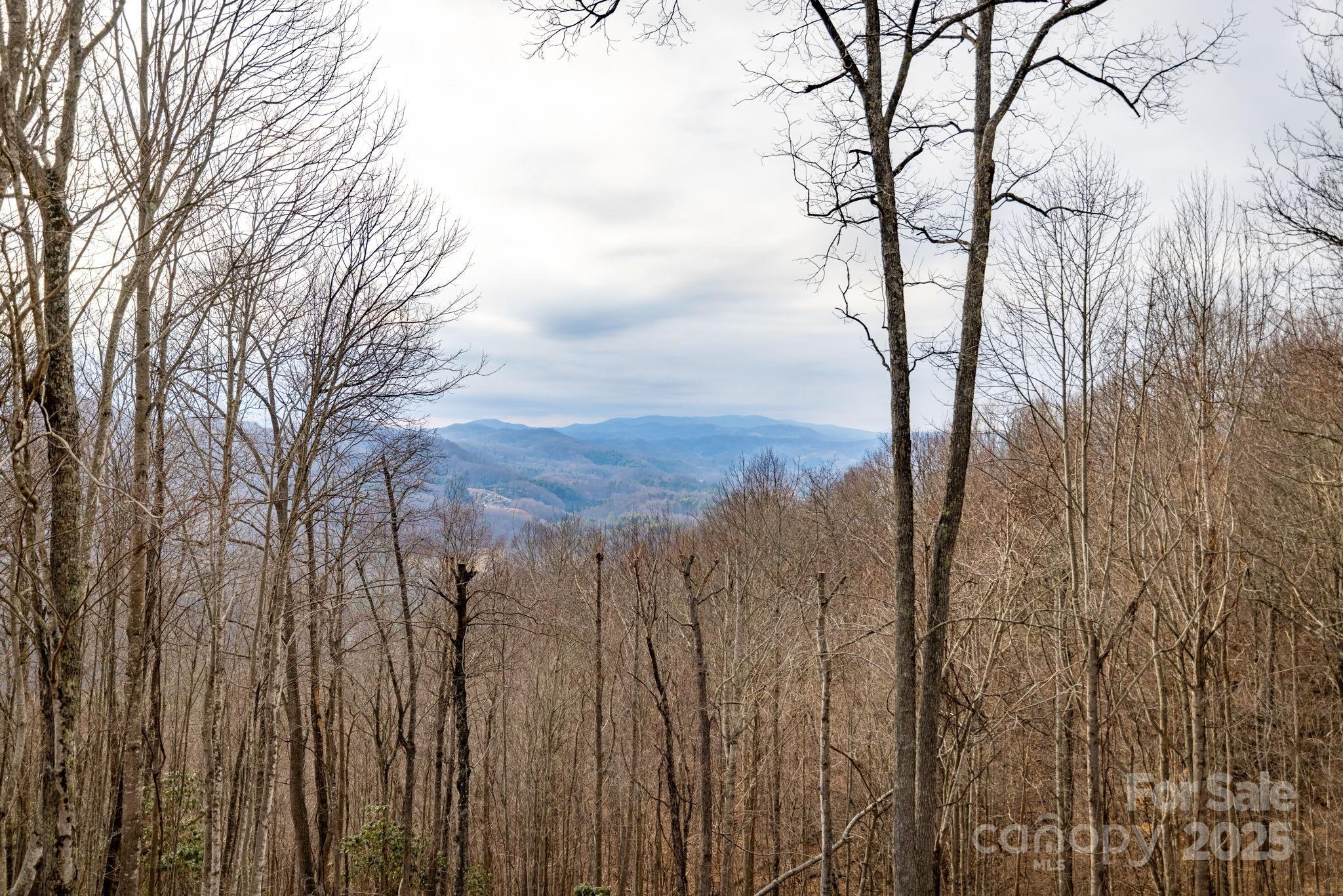 North Carolina Dreams - Residential