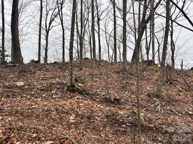 C-114 Spring Water Lane