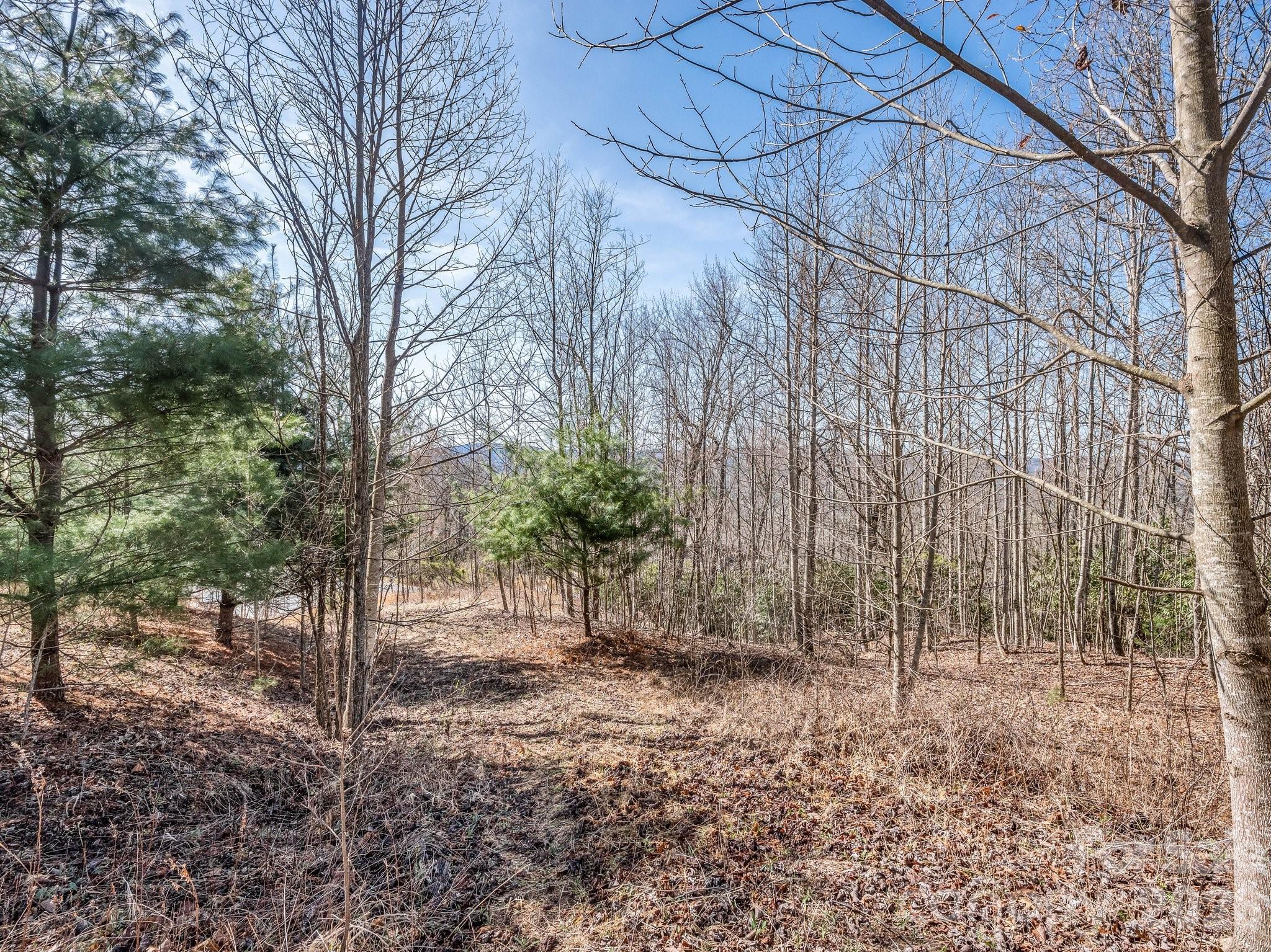 Cummings Cove - Land