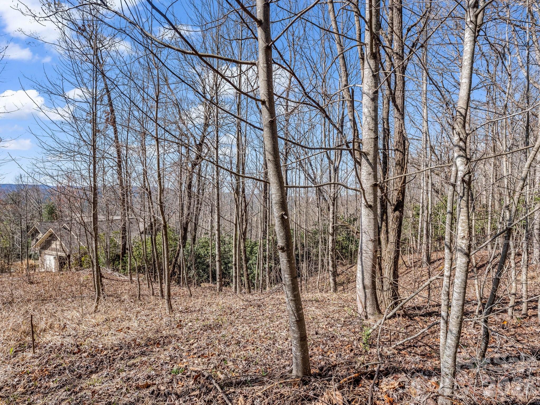 142 Mountain Elder Lane 79