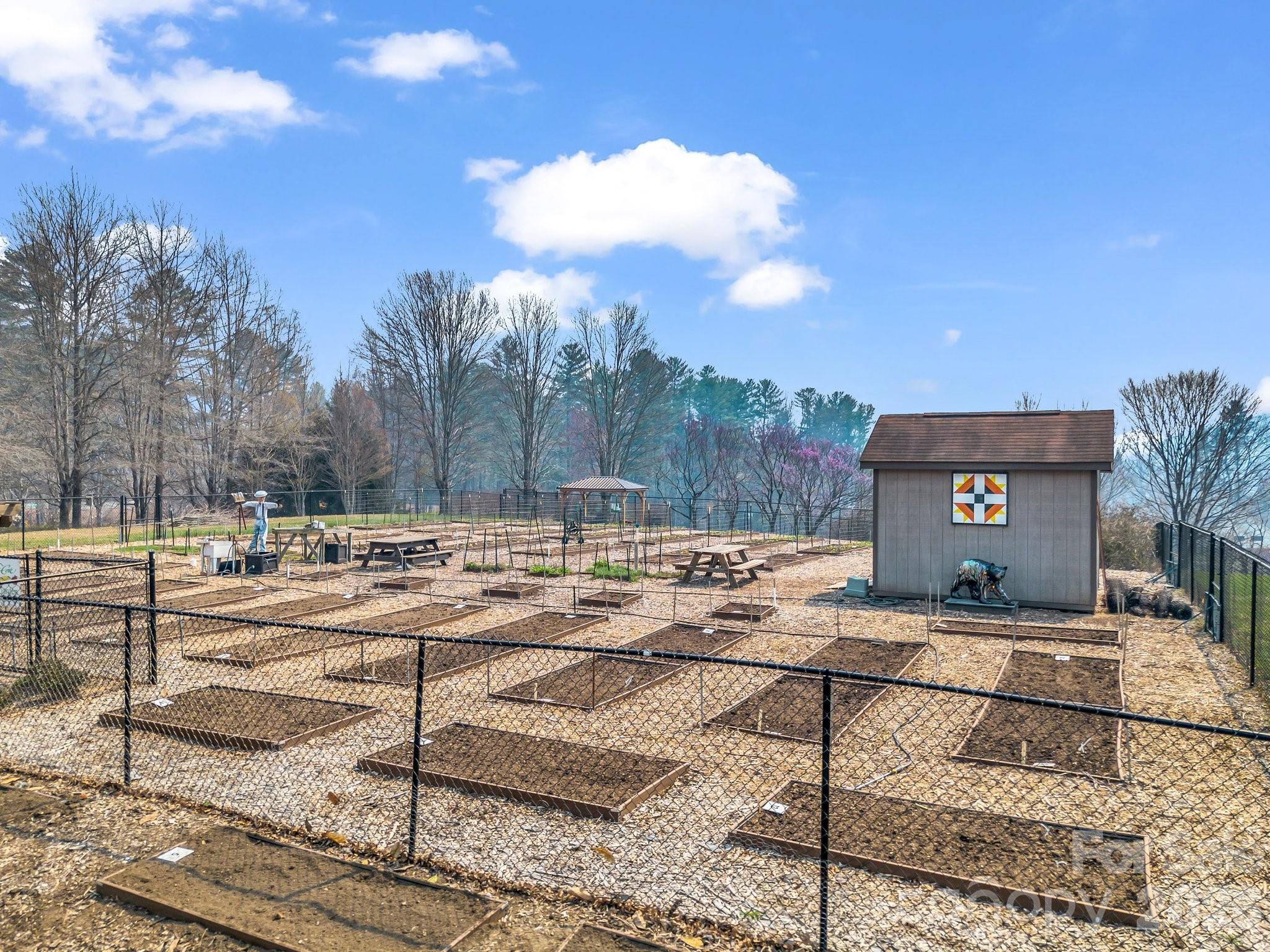 Cummings Cove - Land