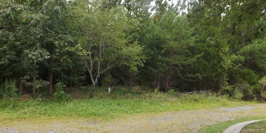 13.72 acres. Water & Sewer connection is now available through Tega Cay. Tax location is Tega Cay. Property has been annexed into Tega Cay. Suggested use is for smaller homes. Possible 45 lots, a great location for future development.