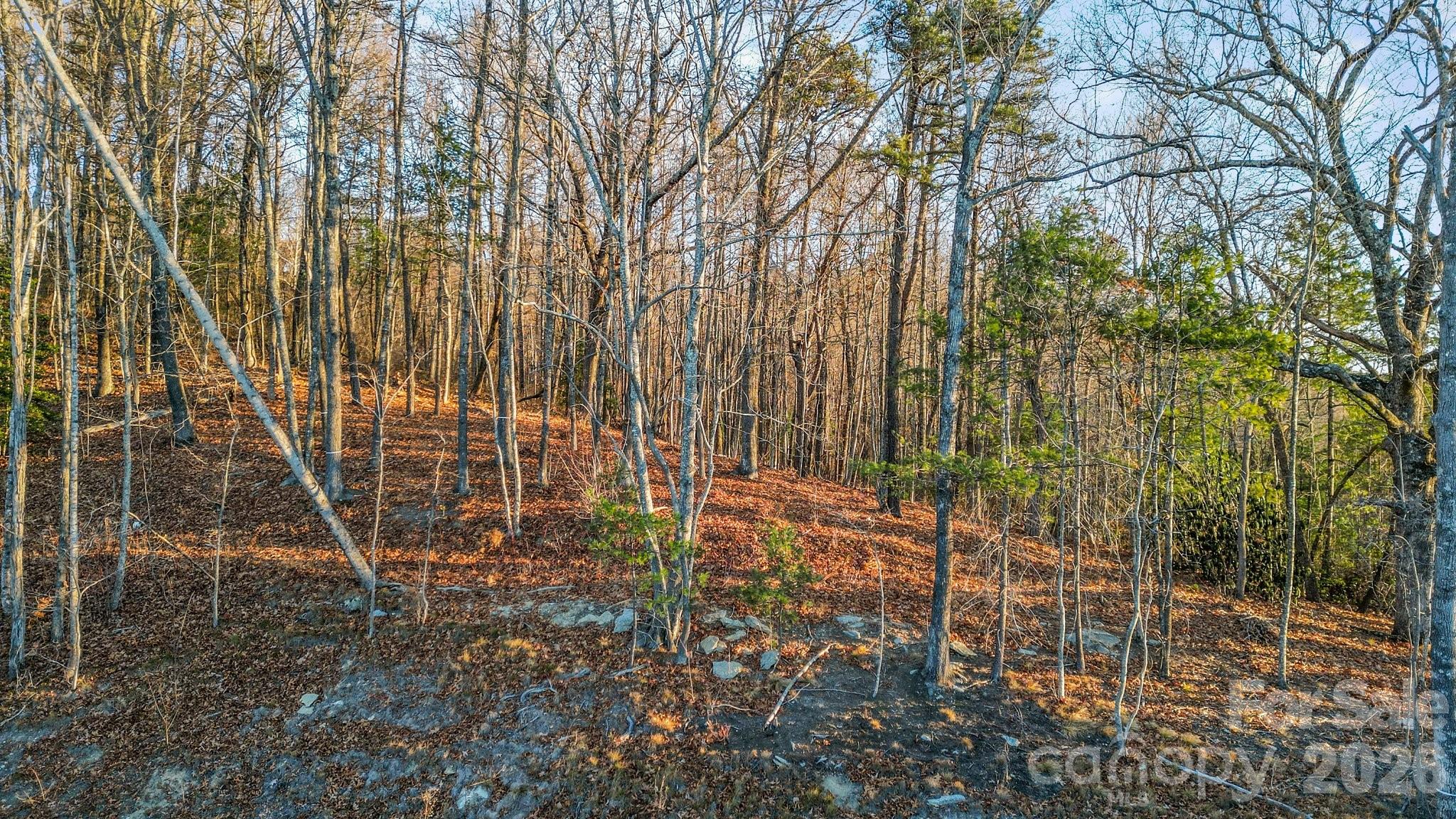 99 Spring Song Lane 9