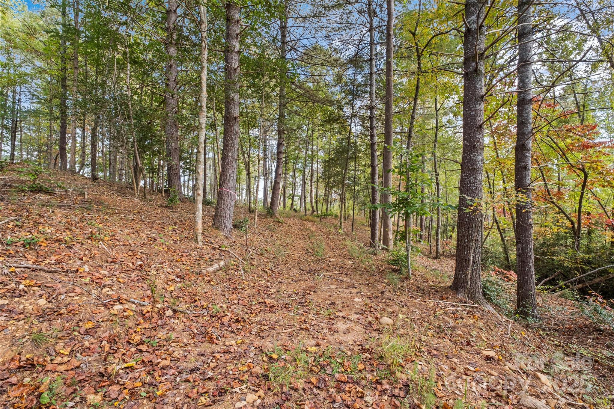 The Waterfront Club - Land