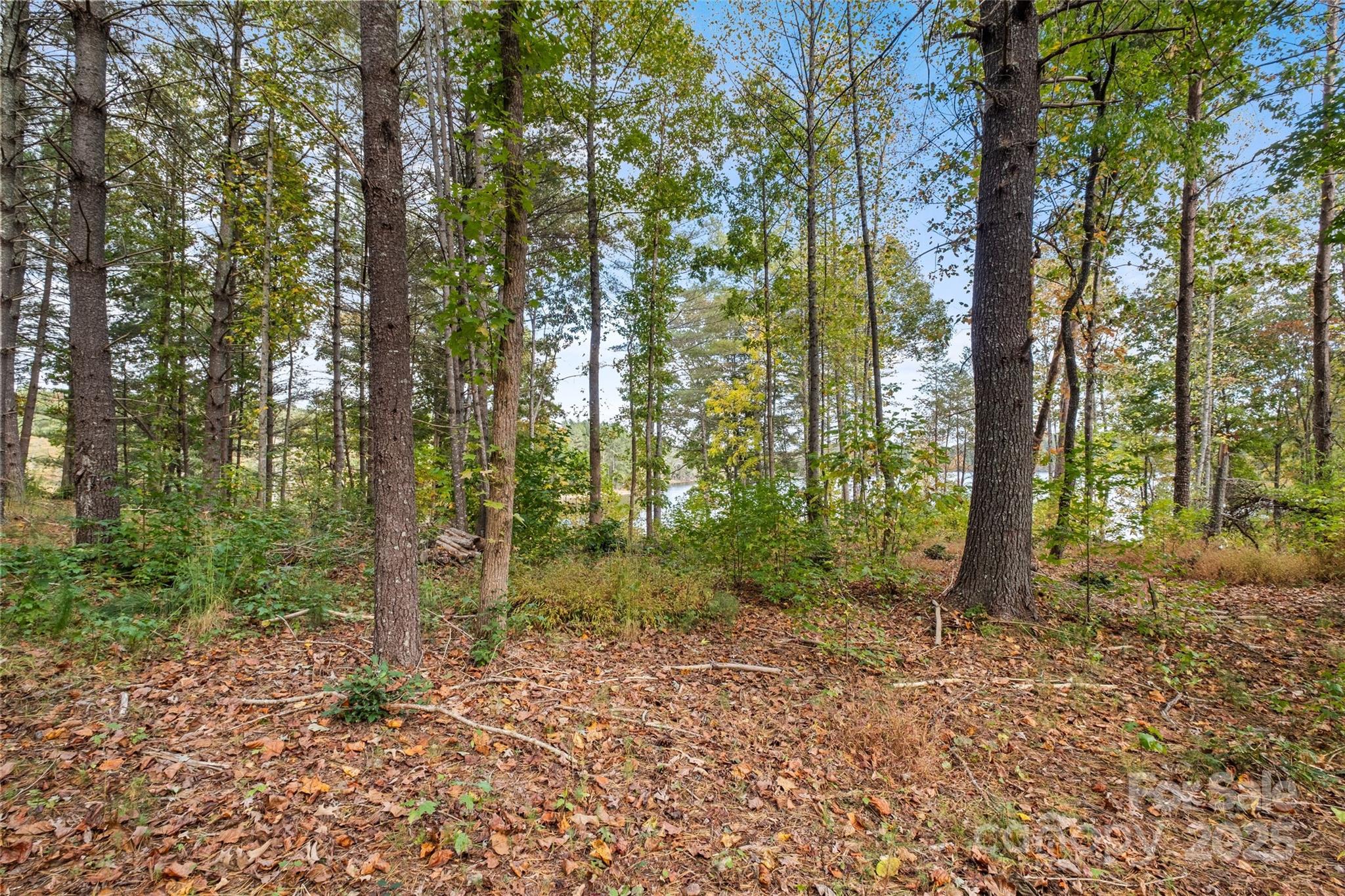 The Waterfront Club - Land