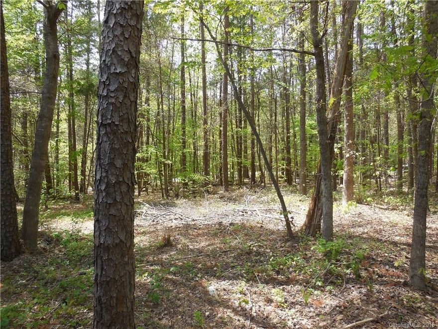 Weddington home location below tax value and tons of potential.Cedar shake exterior. Private lot.Covered wrap around porch on three sides. Loads of potential and expansion opportunities. NO HOA!!Storage building to remain. Wooded private lot with almost 3 acres. Former solar heat.Fireplace in finished basement with bar area. Priced to sell quickly "as is where is." Front of home faces back street with driveway off Forest Lawn Dr. Handicap ramp.Quick closing. Weddington Schools/Middle&High.