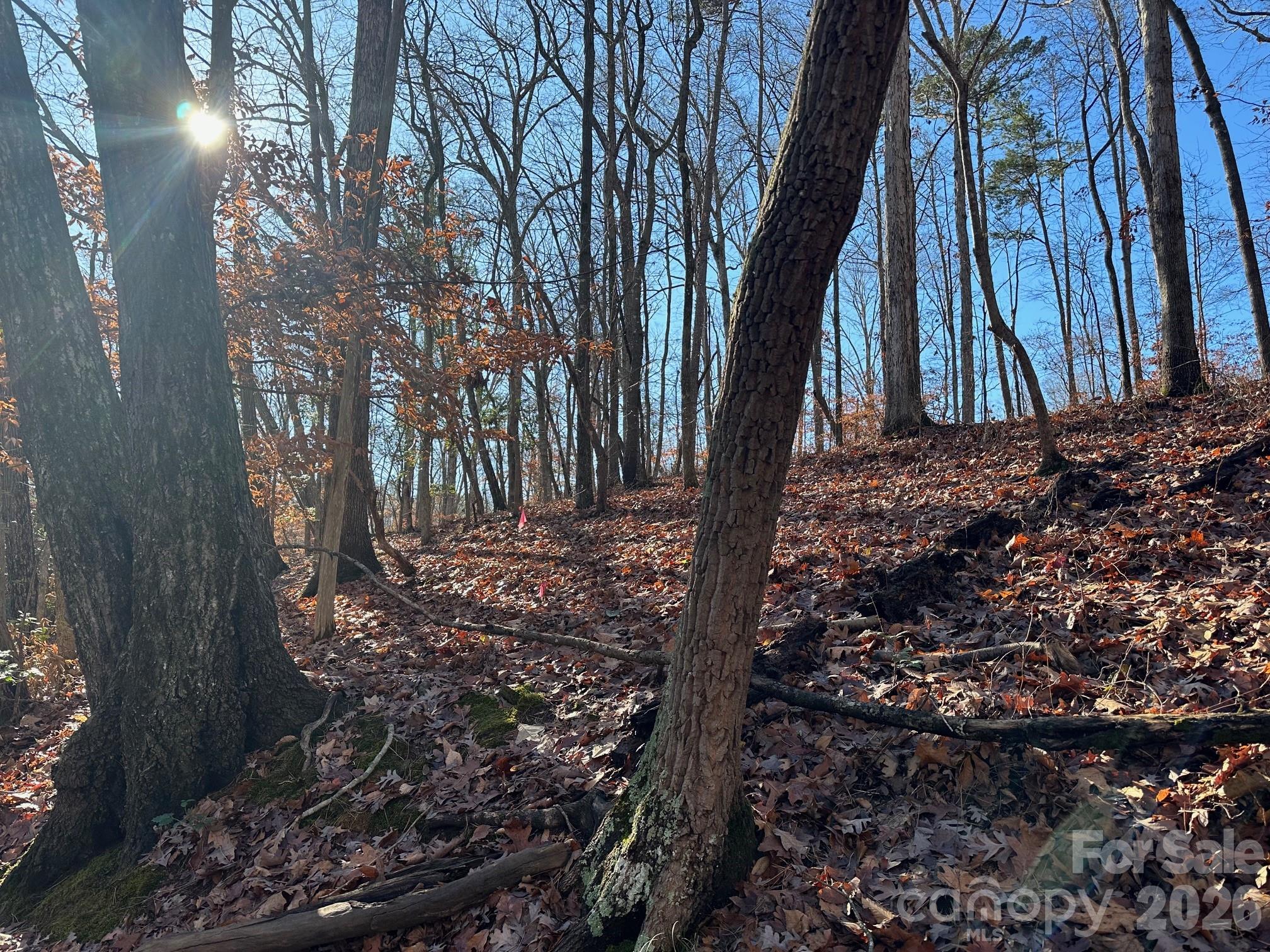 Lot 79 Tealwood Court 79