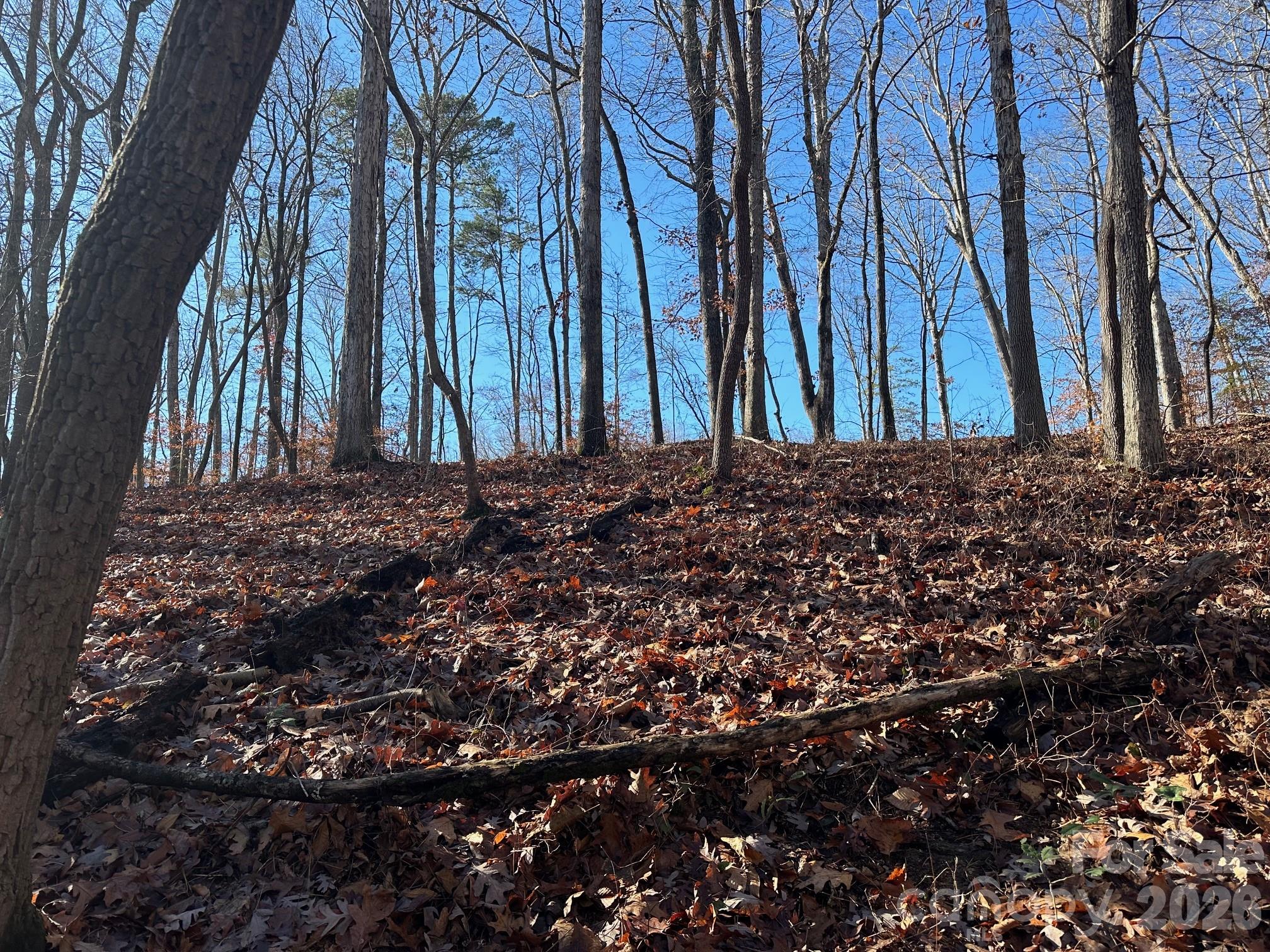 Lot 79 Tealwood Court 79