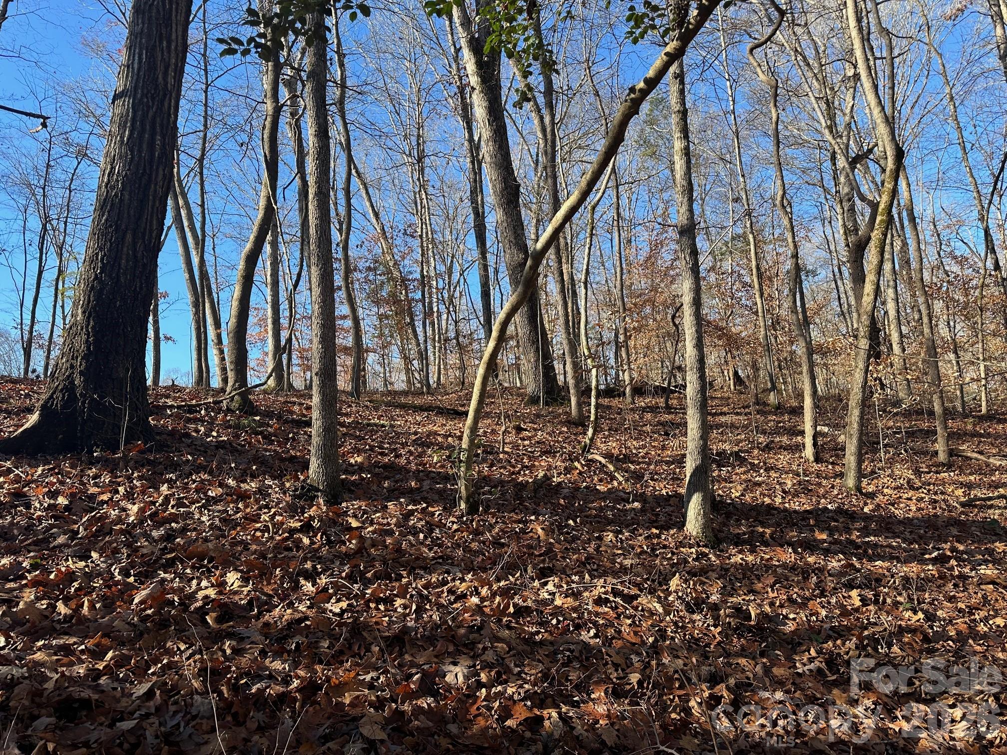 Lot 79 Tealwood Court 79