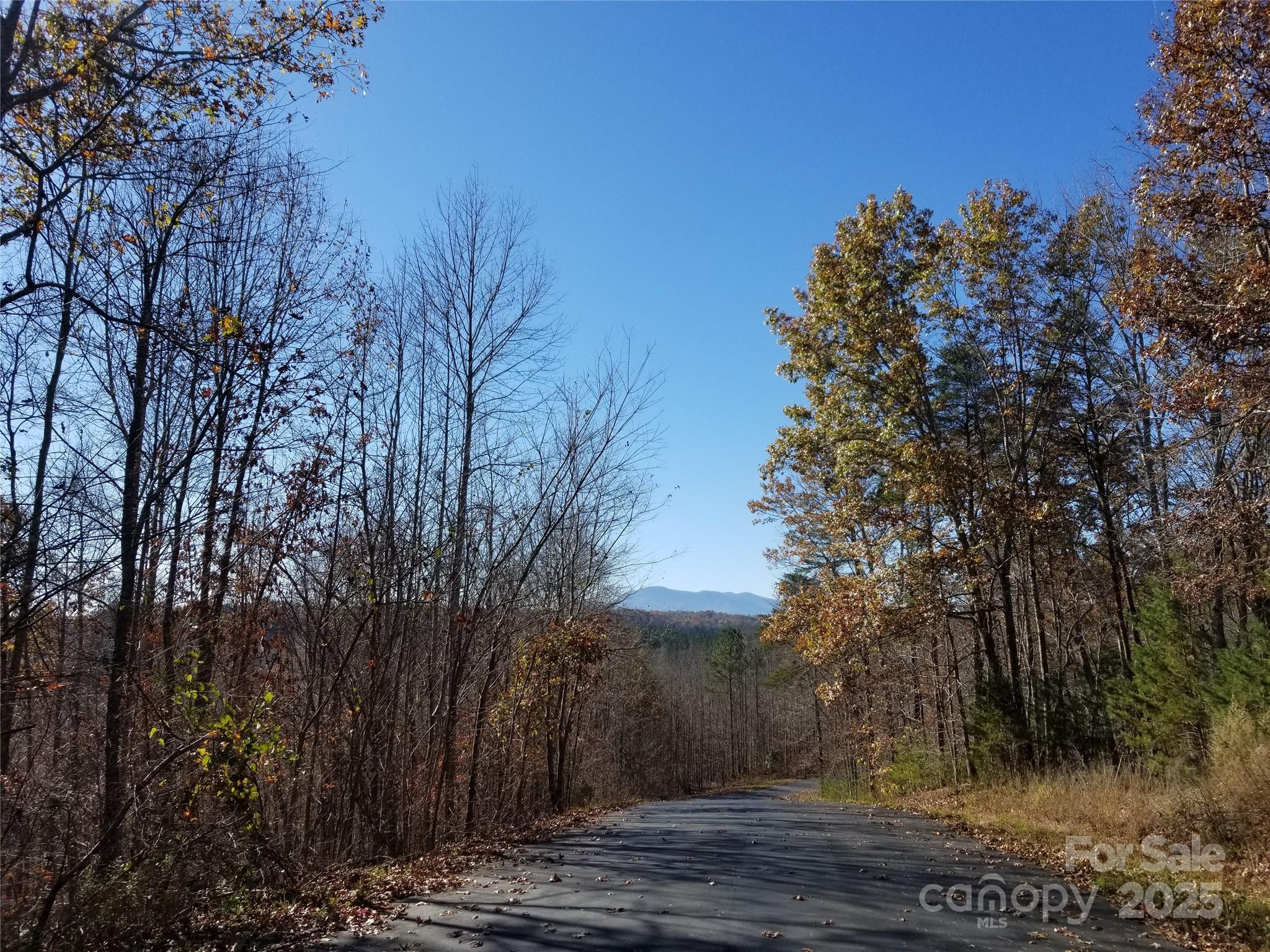 Mountain Laurel Estates - Land