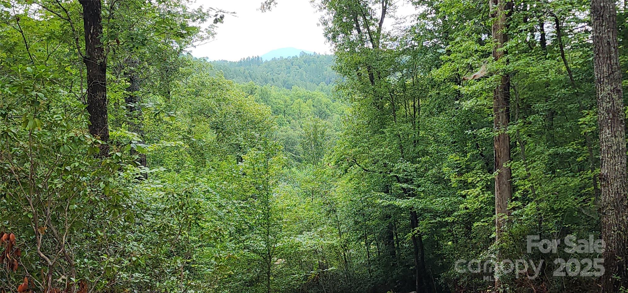 Mountain Laurel Estates - Land