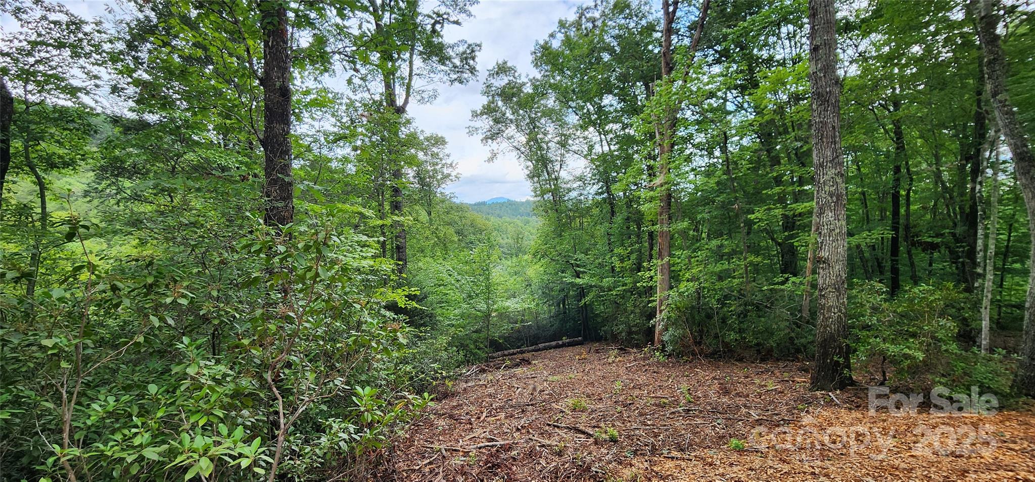 Mountain Laurel Estates - Land