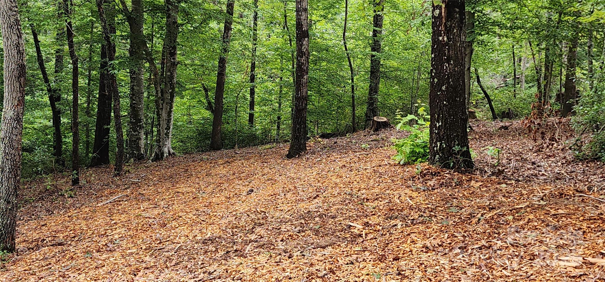 Mountain Laurel Estates - Land