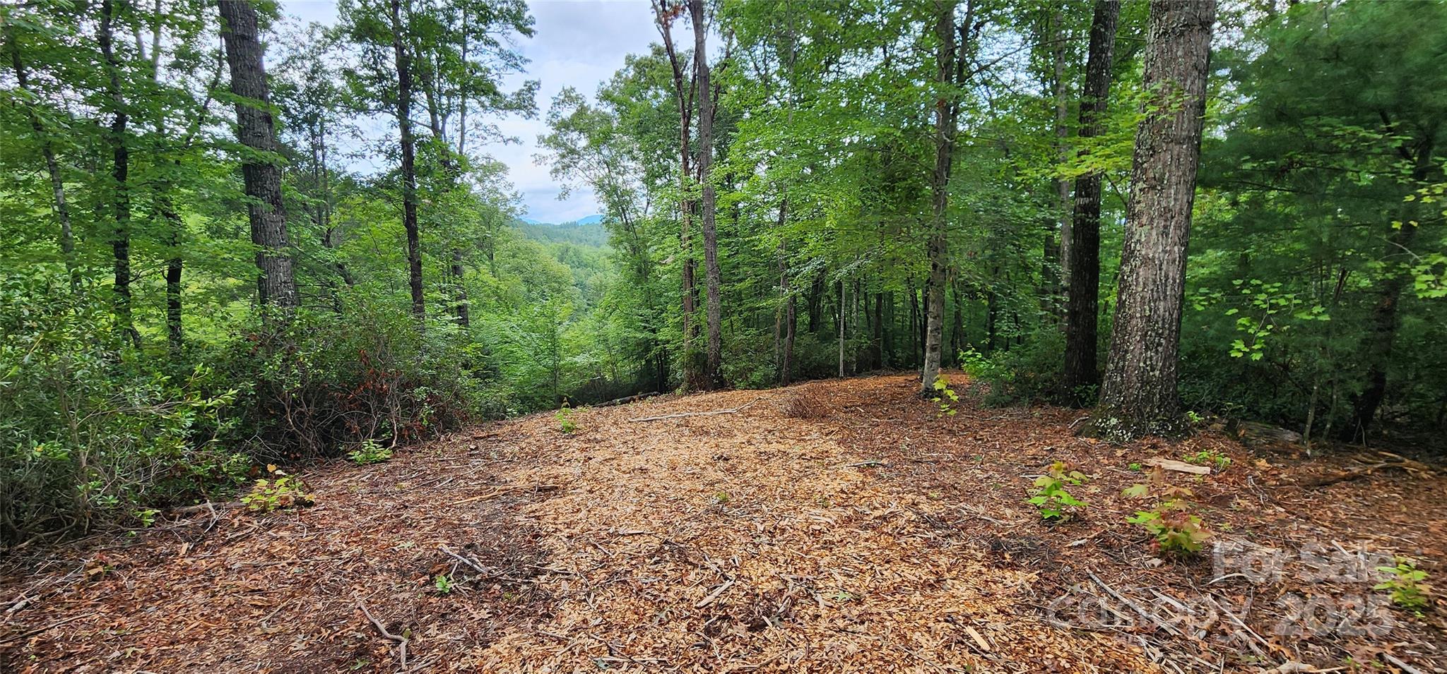 Mountain Laurel Estates - Land
